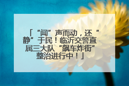 “闻”声而动，还“静”于民！临沂交警直属三大队“飙车炸街”整治进行中！