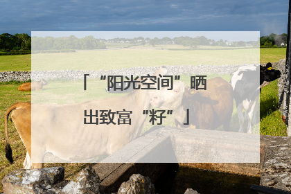 “阳光空间”晒出致富“籽”