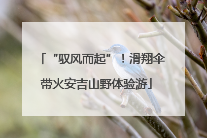 “驭风而起”！滑翔伞带火安吉山野体验游