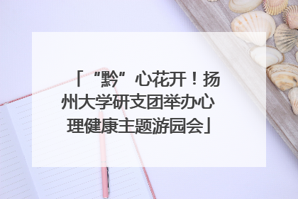 “黔”心花开！扬州大学研支团举办心理健康主题游园会