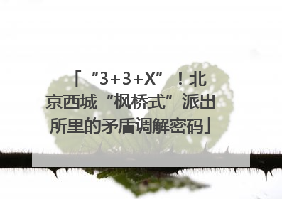 “3+3+X”！北京西城“枫桥式”派出所里的矛盾调解密码