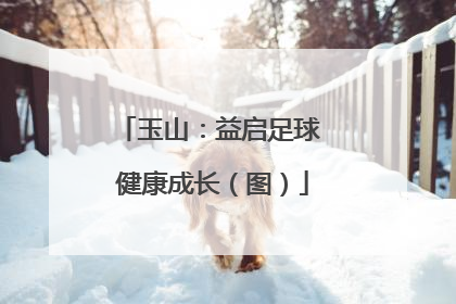 玉山：益启足球 健康成长（图）