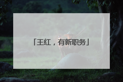 王红，有新职务