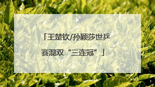 王楚钦/孙颖莎世乒赛混双“三连冠”