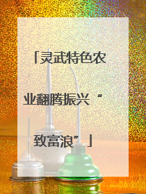 灵武特色农业翻腾振兴“致富浪”