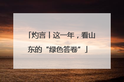 灼言丨这一年，看山东的“绿色答卷”
