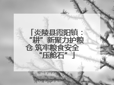 炎陵县霞阳镇：“耕”新聚力护粮仓 筑牢粮食安全“压舱石”