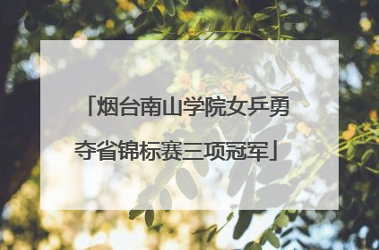 烟台南山学院女乒勇夺省锦标赛三项冠军