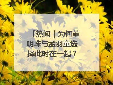 热闻｜为何董明珠与孟羽童选择此时在一起？网友：利益面前啥都能和解