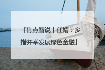 焦点智说丨任婧：多措并举发展绿色金融