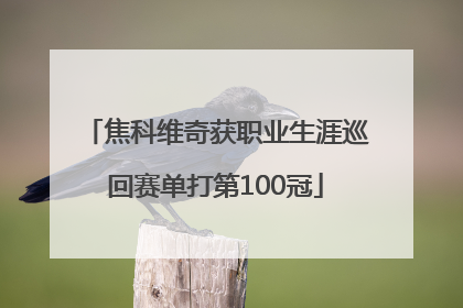 焦科维奇获职业生涯巡回赛单打第100冠