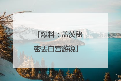 爆料：盖茨秘密去白宫游说