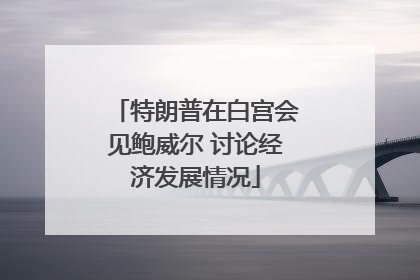 特朗普在白宫会见鲍威尔 讨论经济发展情况
