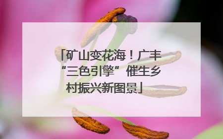 矿山变花海！广丰“三色引擎”催生乡村振兴新图景