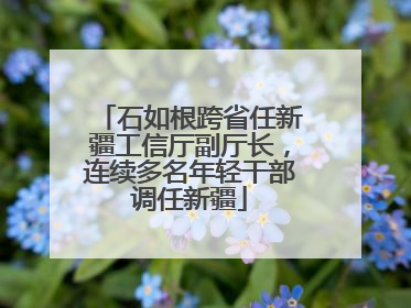 石如根跨省任新疆工信厅副厅长，连续多名年轻干部调任新疆