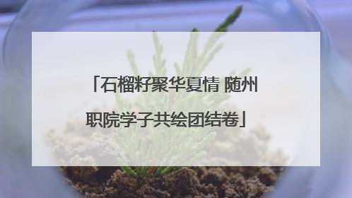 石榴籽聚华夏情 随州职院学子共绘团结卷