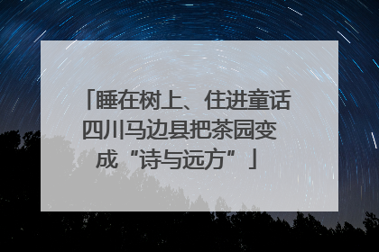 睡在树上、住进童话 四川马边县把茶园变成“诗与远方”