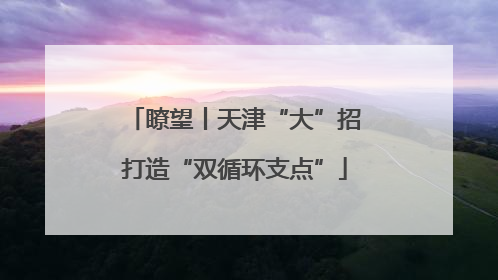 瞭望丨天津“大”招打造“双循环支点”