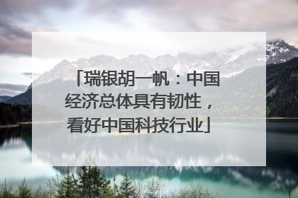 瑞银胡一帆：中国经济总体具有韧性，看好中国科技行业