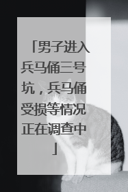 男子进入兵马俑三号坑，兵马俑受损等情况正在调查中
