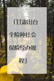甘肃出台全险种社会保险经办规程
