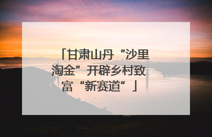 甘肃山丹“沙里淘金”开辟乡村致富“新赛道”