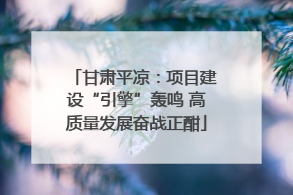 甘肃平凉：项目建设“引擎”轰鸣 高质量发展奋战正酣