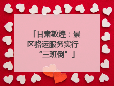 甘肃敦煌：景区骆运服务实行“三班倒”