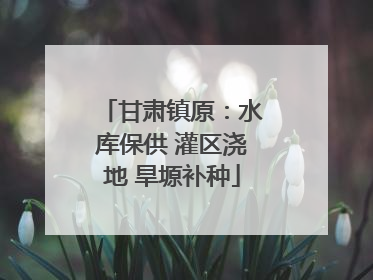 甘肃镇原：水库保供 灌区浇地 旱塬补种