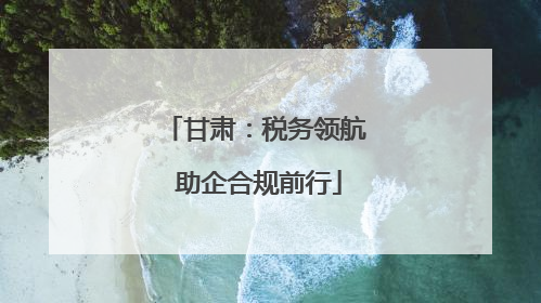 甘肃：税务领航 助企合规前行
