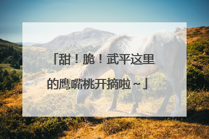 甜！脆！武平这里的鹰嘴桃开摘啦～