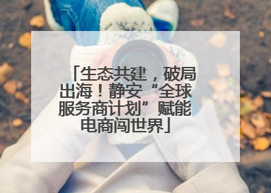生态共建，破局出海！静安“全球服务商计划”赋能电商闯世界