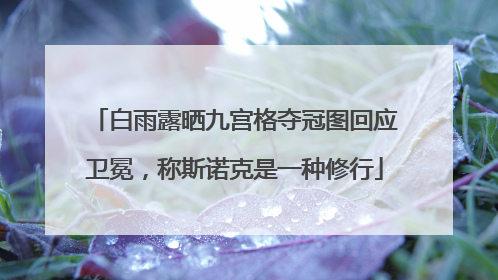 白雨露晒九宫格夺冠图回应卫冕，称斯诺克是一种修行