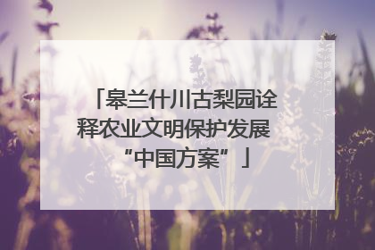皋兰什川古梨园诠释农业文明保护发展“中国方案”