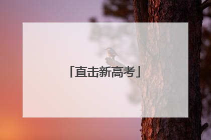 直击新高考