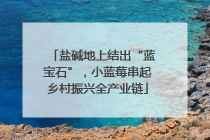 盐碱地上结出“蓝宝石”，小蓝莓串起乡村振兴全产业链