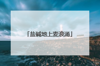 盐碱地上麦浪涌