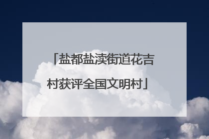 盐都盐渎街道花吉村获评全国文明村
