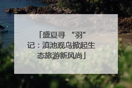 盛夏寻 “羽” 记：滇池观鸟掀起生态旅游新风尚