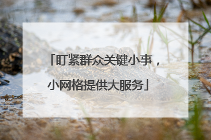 盯紧群众关键小事，小网格提供大服务