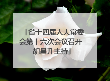 省十四届人大常委会第十六次会议召开 胡昌升主持