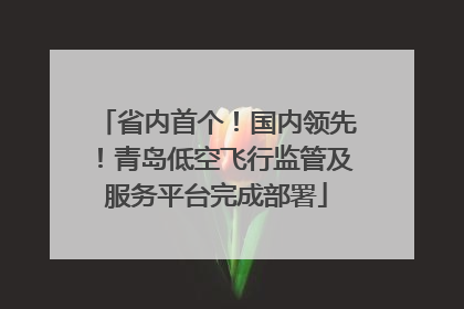 省内首个！国内领先！青岛低空飞行监管及服务平台完成部署