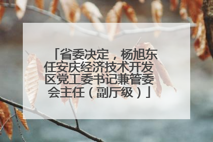 省委决定，杨旭东任安庆经济技术开发区党工委书记兼管委会主任（副厅级）