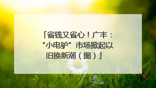 省钱又省心！广丰：“小电驴”市场掀起以旧换新潮（图）
