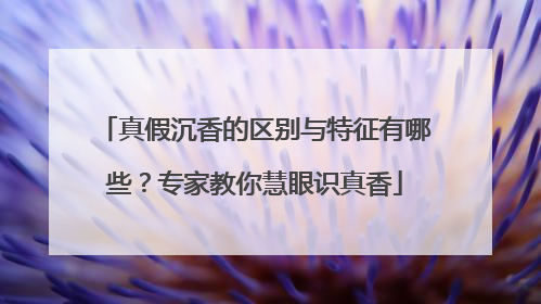 真假沉香的区别与特征有哪些？专家教你慧眼识真香
