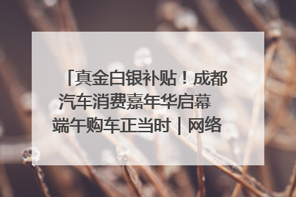 真金白银补贴！成都汽车消费嘉年华启幕 端午购车正当时｜网络中国节·端午