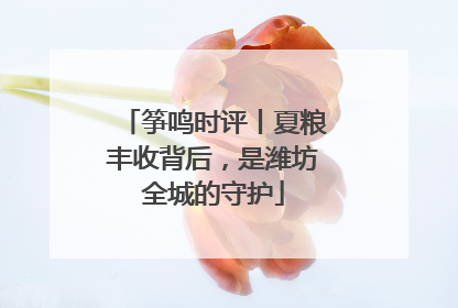 筝鸣时评丨夏粮丰收背后，是潍坊全城的守护