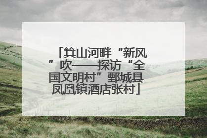 箕山河畔“新风”吹——探访“全国文明村”鄄城县凤凰镇酒店张村