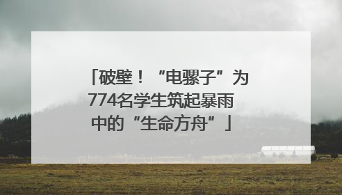 破壁！“电骡子”为774名学生筑起暴雨中的“生命方舟”