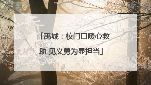 禹城：校门口暖心救助 见义勇为显担当